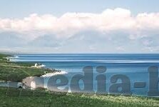 91麻豆精品综合91久久久久久-探索当代网络文化的丰富多元性，91麻豆精品综合与长尾效应的共鸣