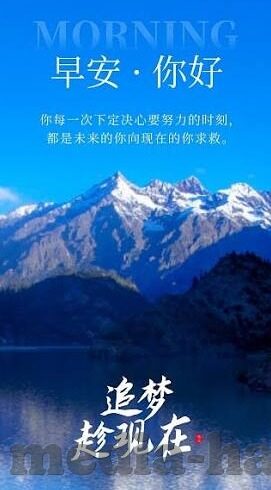 97成人在线视频-成人在线视频，97时代的网络文化与影响