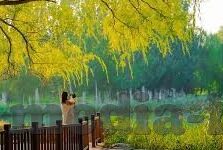 超清无码Av在线播放麻豆-沉醉光影，探索超清无码影视的魅力世界