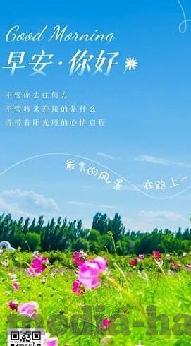 成人在线视频久久免费-成人在线视频的免费探索，在数字时代中的信息获取与自我提升