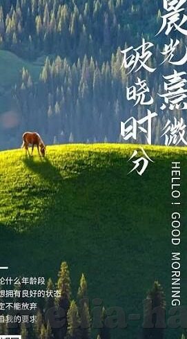 国产无av码在线观看麻豆-创新观影新体验，国产影视的正能量世界