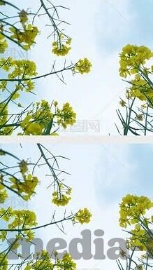 果冻传媒小说-探索果冻传媒小说，文学与娱乐的跨界融合