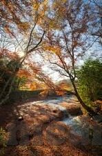 麻豆床传媒网站入口-花季青春，谨慎网络诱惑——揭开网络‘麻豆床’传媒的谜团