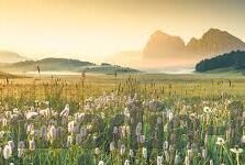 麻豆传媒app网站-走进虚拟与现实交织的视听盛宴 —— 深入了解麻豆传媒APP网站及其影响