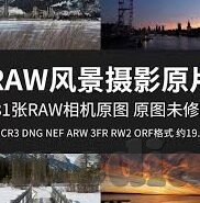 麻豆传媒全集-麻豆传媒，追求艺术真实性还是走向错误引导？