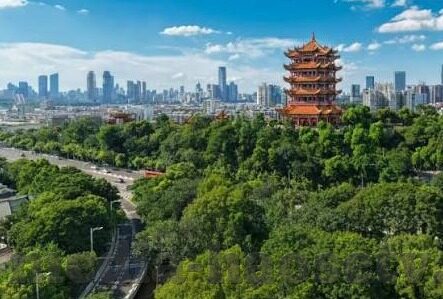 欧美免费成人在线视频-欧美成人在线视频的多元视角与文化交融