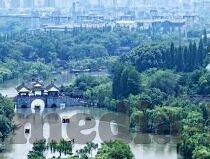 人妻不伦温泉-温泉之畔的温情与界限——人妻角色在传统与现代间的微妙平衡