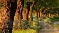 糖心app网址-关于介绍新娱乐资讯平台——懂你app的独特之处