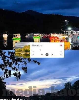 糖心vlog网页版入口-探索糖心Vlog网页版的独特魅力