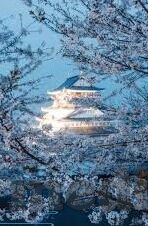 亚洲综合无码一区二区-亚洲综合无码一区二区，文化多样性与网络空间的和谐共存